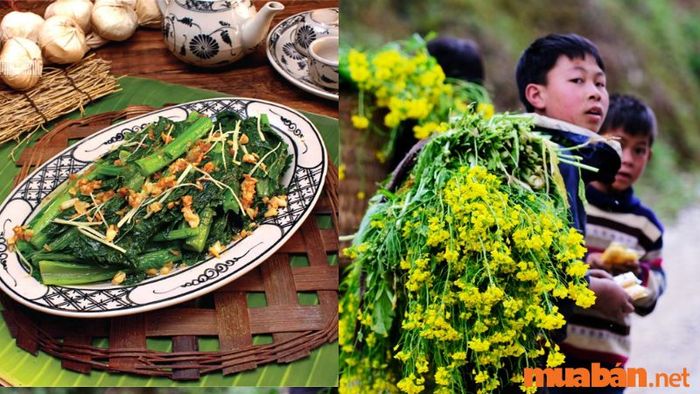 Món ăn Cải Mèo