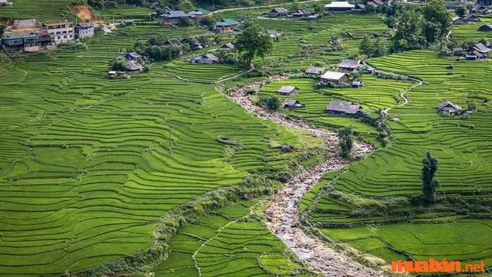 Suối Mường Hoa tại Sapa