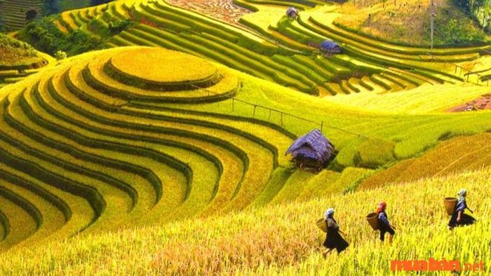 Mùa thu mang lại vẻ đẹp tuyệt mỹ