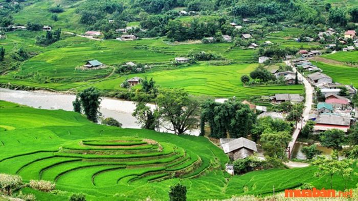 Khung cảnh rất hấp dẫn