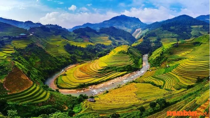 Thung Lũng Mường Hoa
