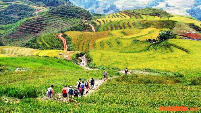 Mùa xuân là thời điểm hoàn hảo để khám phá Suối Mường Hoa