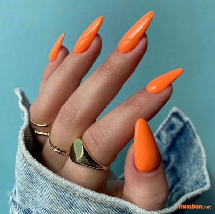 Bộ nail đơn giản cho móng dài có màu cam đất