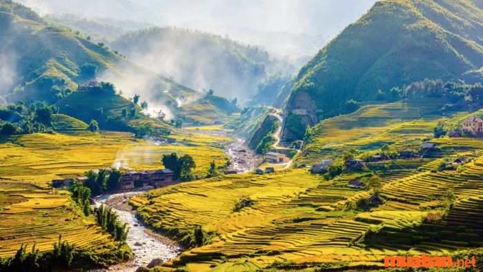 Màu sắc thay đổi theo từng mùa