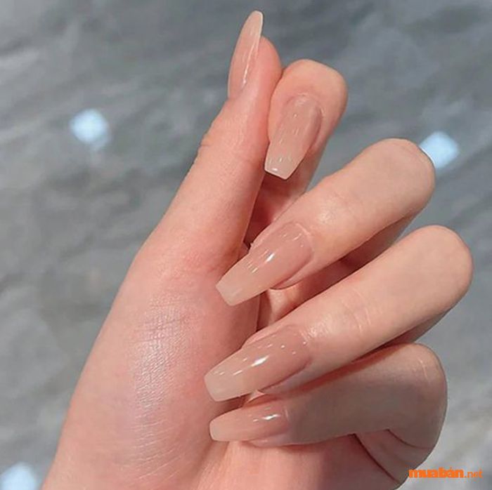 Bộ nail đơn giản cho móng dài với màu nude