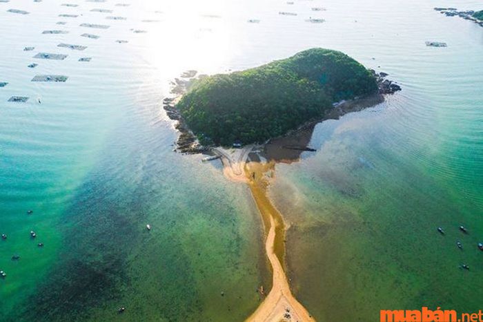 Nhất Tự Sơn là địa điểm hoàn hảo cho những ai đam mê khám phá và chụp ảnh thiên nhiên.