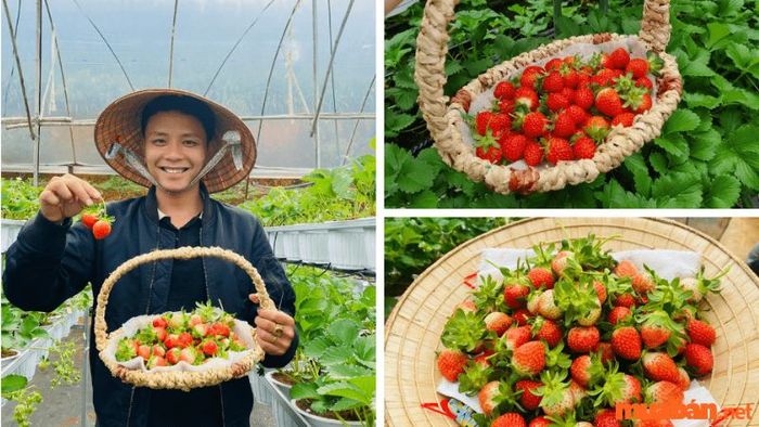 Thiền Viện Vạn Hạnh