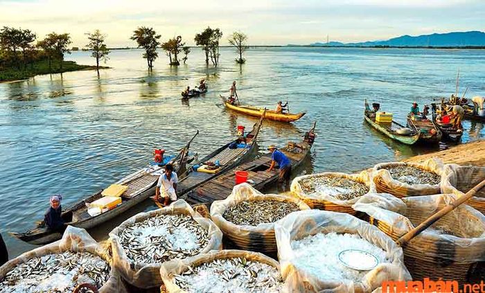 Khi đến An Giang vào tháng 10, bạn sẽ có những trải nghiệm độc đáo giữa cảnh sắc thiên nhiên tuyệt vời.
