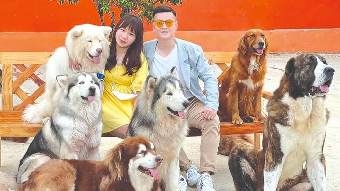 Nông trại cún Puppy Farm – Điểm du lịch hot nhất tại Đà Lạt