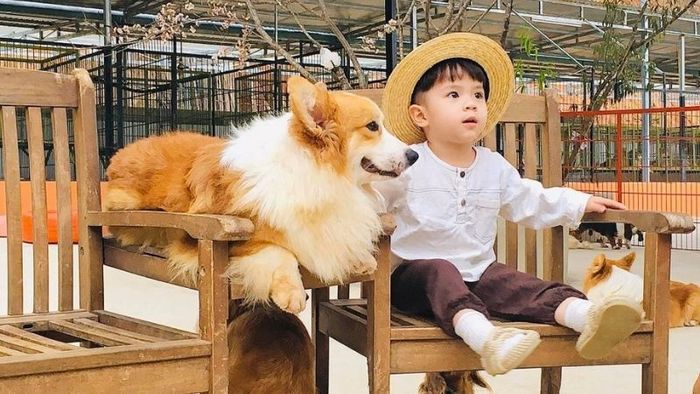 Những điều cần lưu ý khi tham quan