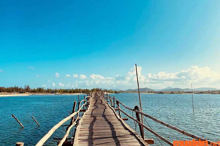 Cầu gỗ Ông Cọp là một địa điểm check-in lý tưởng tại Phú Yên, nơi bạn có thể chụp ảnh và tận hưởng không khí trong lành