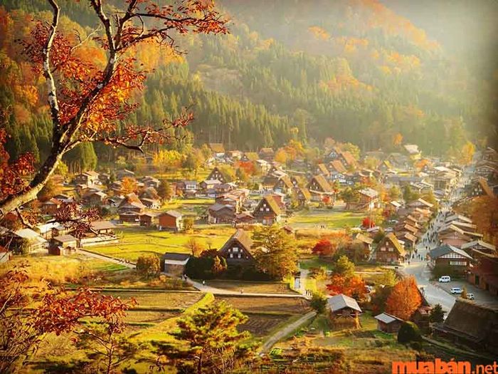 Phong cảnh mùa thu ở Nhật Bản thật thơ mộng.