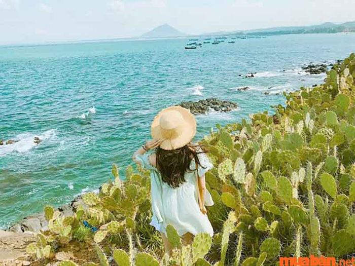 Bãi Xép là một trong những địa điểm check-in nổi bật và ấn tượng tại Phú Yên