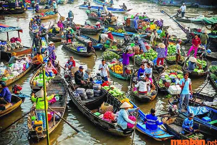 Nếu bạn chưa biết tháng 10 nên đi đâu du lịch, hãy lựa chọn Cần Thơ nhé!