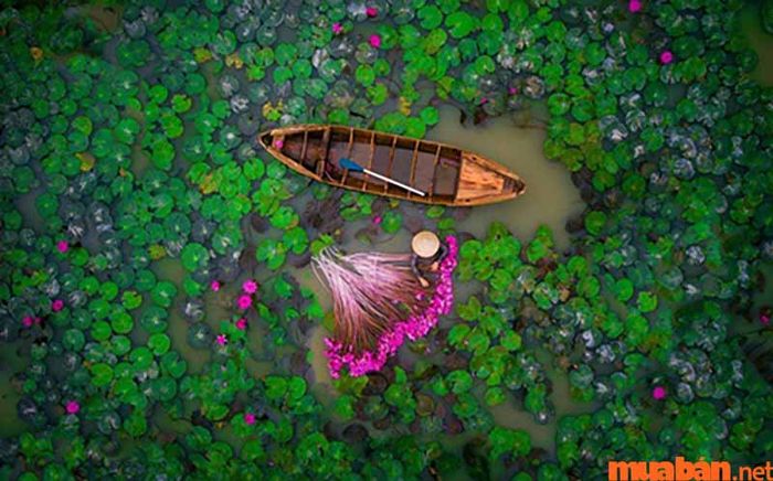 Nhiều người đang rất quan tâm đến việc tháng 10 nên đi du lịch ở miền Nam.
