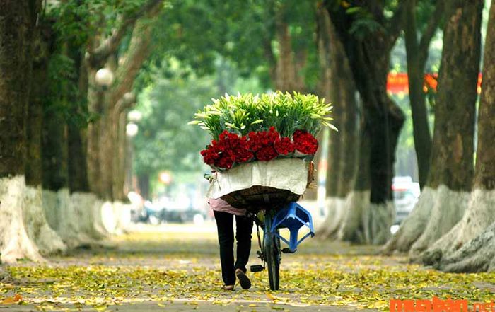 Nếu bạn vẫn chưa biết tháng 10 nên du lịch ở đâu, hãy ghé thăm thủ đô Hà Nội nhé!