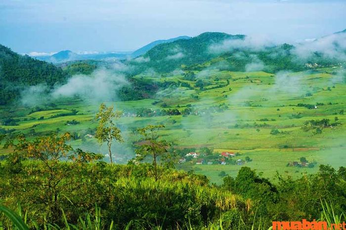Cao nguyên Vân Hòa được ví như Đà Lạt thu nhỏ giữa lòng Phú Yên.
