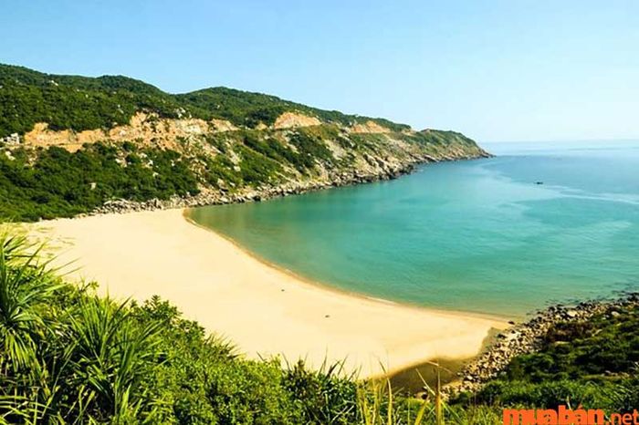 Bãi Môn là điểm đến không thể thiếu trong hành trình khám phá Phú Yên