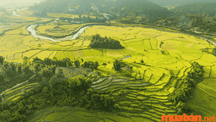 Khi nào là thời điểm tốt nhất để đến Măng Đen?