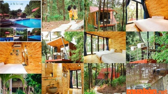 Kinh nghiệm du lịch Cát Bà 3 ngày 2 đêm - Trải nghiệm nghỉ ngơi tại bungalow gỗ bên rừng nguyên sinh