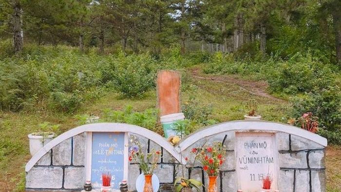 Những hoạt động nào nên thực hiện khi tham quan Đồi Thông Hai Mộ?