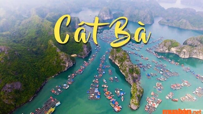 Kinh nghiệm du lịch Cát Bà 3 ngày 2 đêm với ngân sách tiết kiệm