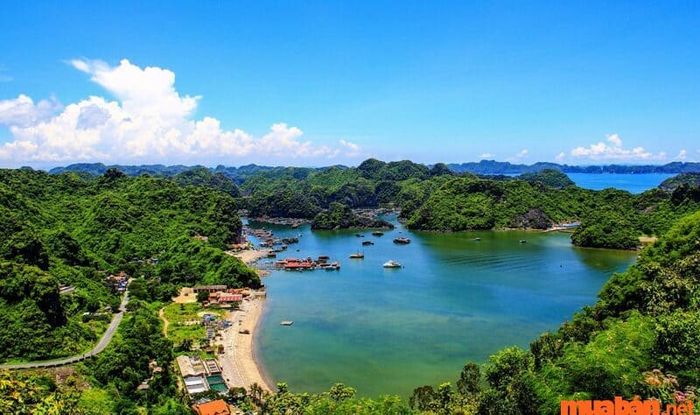 Hướng dẫn du lịch Cát Bà 3 ngày 2 đêm mới nhất