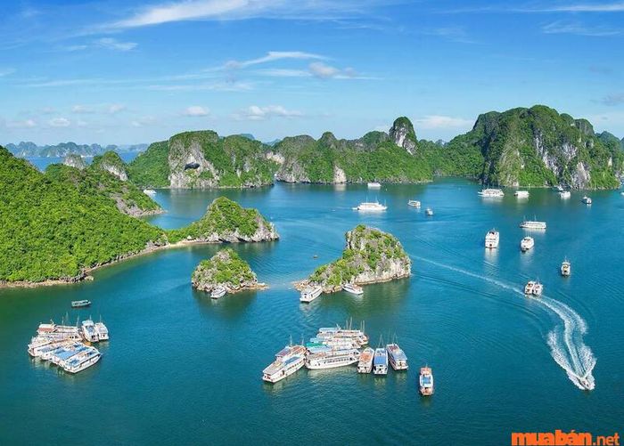 Kinh nghiệm du lịch Cát Bà - Hải Phòng chi tiết cho mùa hè này! Kinh nghiệm du lịch Cát Bà - Hải Phòng cho mùa hè tuyệt vời!