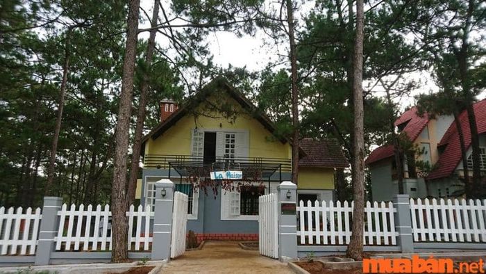 La Maison Homestay 