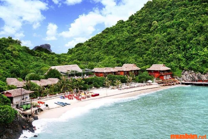 Kinh nghiệm du lịch Cát Bà: resort giá rẻ Monkey Island Resort