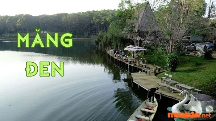 Măng Đen có gì để khám phá? Hãy cùng tìm hiểu về Măng Đen