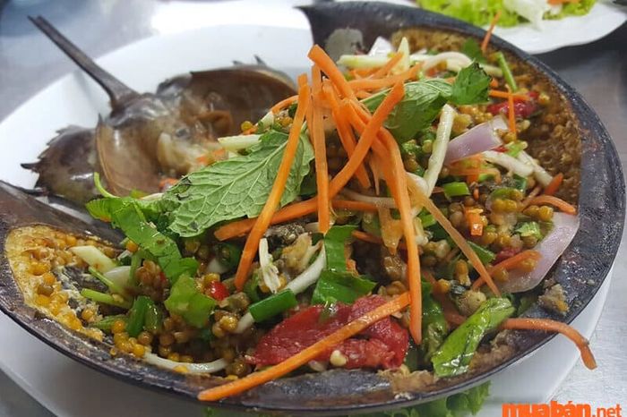 Hướng dẫn du lịch Cát Bà 3 ngày 2 đêm: Thử ngay Sam biển trộn gỏi chua ngọt