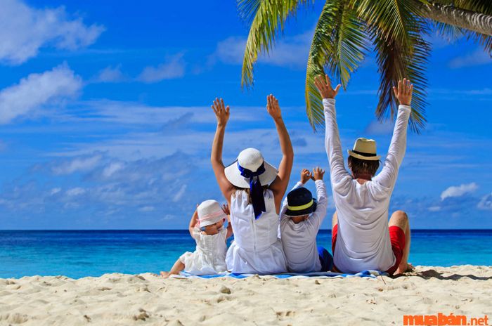 Kinh nghiệm du lịch Cát Bà: Lựa chọn tour chất lượng và uy tín
