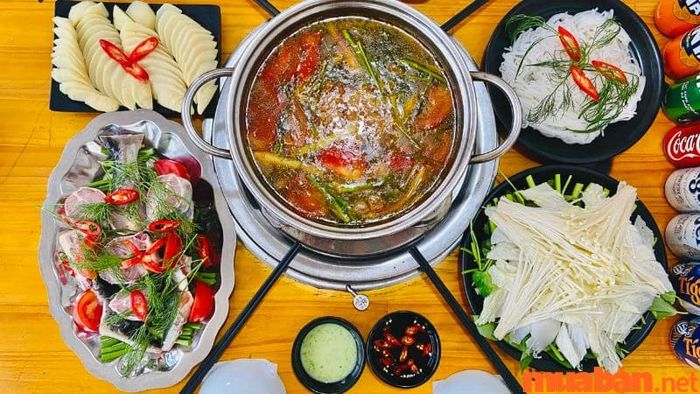 Lẩu Cá Tầm Măng Đen