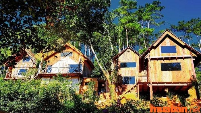 Tổ Chim Ri Homestay