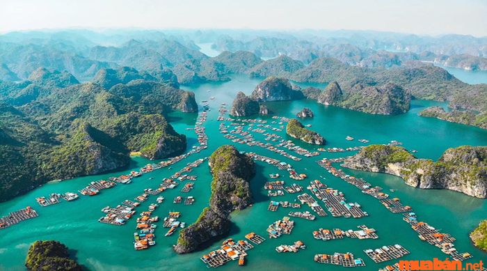 Kinh nghiệm du lịch Cát Bà: Bạn cần lựa chọn thời điểm thích hợp