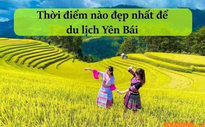 Theo kinh nghiệm du lịch Yên Bái, bạn nên đến đây vào mùa lúa chín.