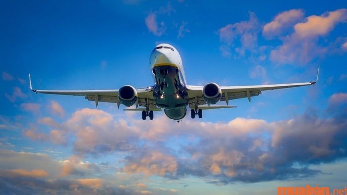 Máy bay là lựa chọn giúp bạn tiết kiệm thời gian di chuyển.