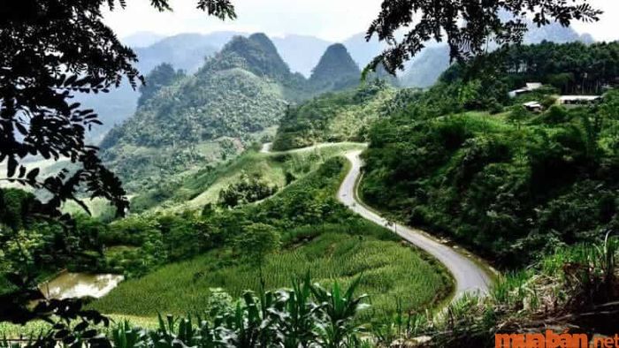 Khu vực này là nơi sinh sống của nhiều loài động vật quý hiếm.
