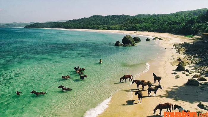 Nihiwatu Beach được mệnh danh là một trong những bãi biển đẹp nhất thế giới, được nhiều du khách yêu thích.