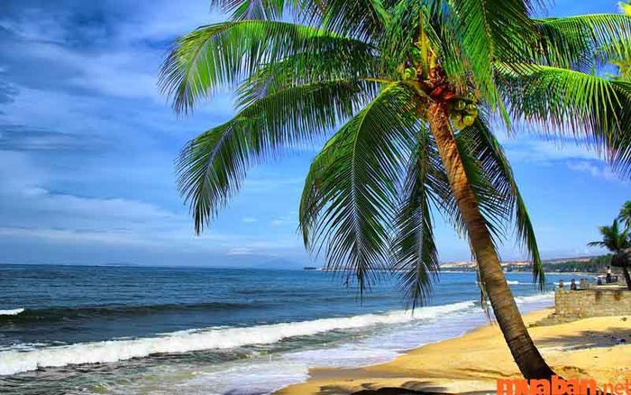 Biển Nha Trang được biết đến như một trong những bãi biển đẹp nhất thế giới tại Việt Nam
