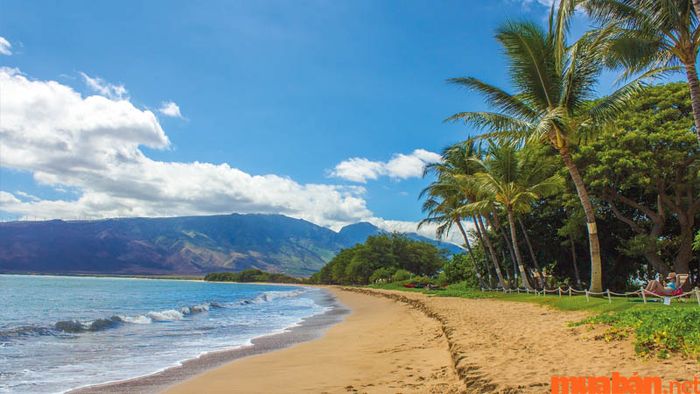 Bãi biển vịnh Hanalei là điểm đến du lịch được yêu thích bởi mọi lứa tuổi.