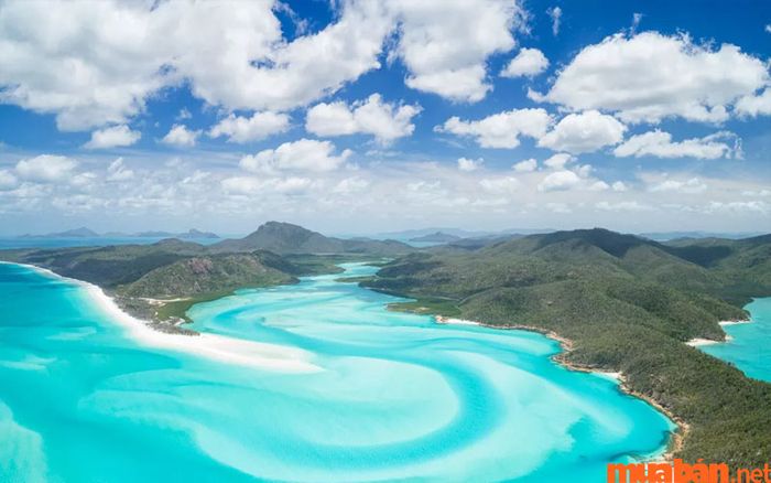 Bạn sẽ ngỡ ngàng trước vẻ đẹp độc đáo, không thể nào quên của bờ biển Whitsunday