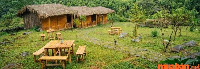 Khung cảnh tại Joy House Homestay
