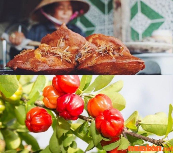 Gò Công có gì hấp dẫn? Hãy trải nghiệm bánh vá giòn rụm và quả sơ ri ngọt ngào