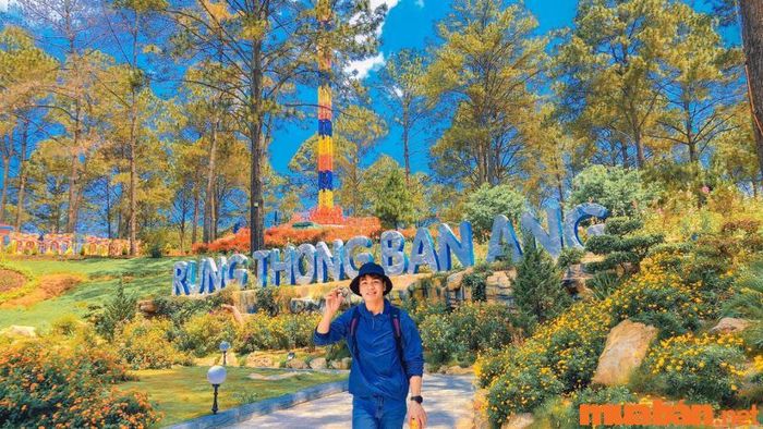 Khám phá Rừng thông bản Áng