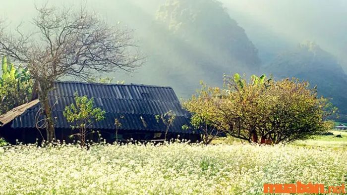 Khám phá vẻ đẹp của Bản Thung Cuông