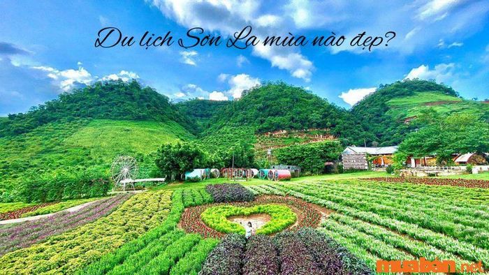 Thời gian lý tưởng để khám phá Sơn La