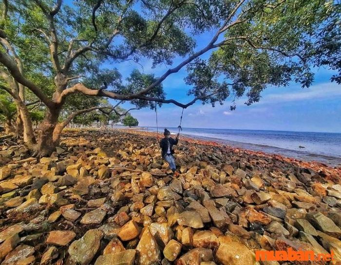 Khám phá vẻ đẹp bình yên của Gò Công, rời xa thành phố nhộn nhịp