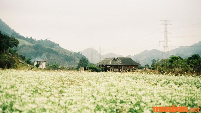 Khám phá bản Pa Phách